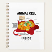 Dierlijke cel in het Eukaryote-diagram Planner (Voorkant)