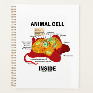 Dierlijke cel in het Eukaryote-diagram Planner