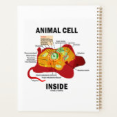 Dierlijke cel in het Eukaryote-diagram Planner (Achterkant)