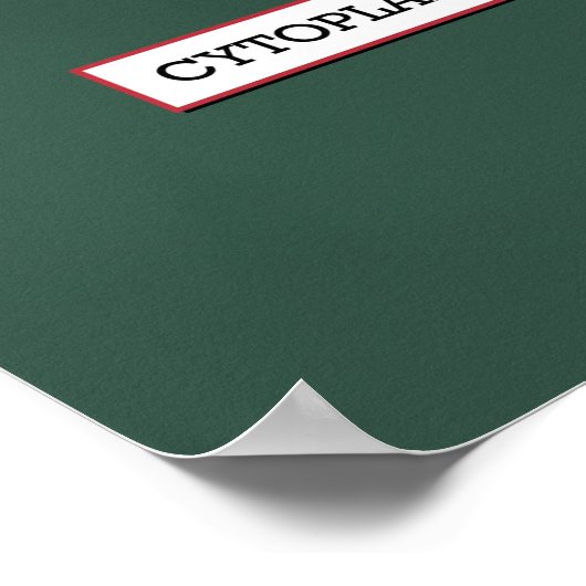 Dierlijke cellen * UPDATED * Poster (Hoek)