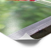 Dierlijke eekhoorn foto afdruk (Hoek)