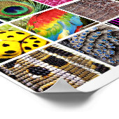 Dierlijke en Insecte Huid- en Wilde Levensdieren P Poster (Hoek)