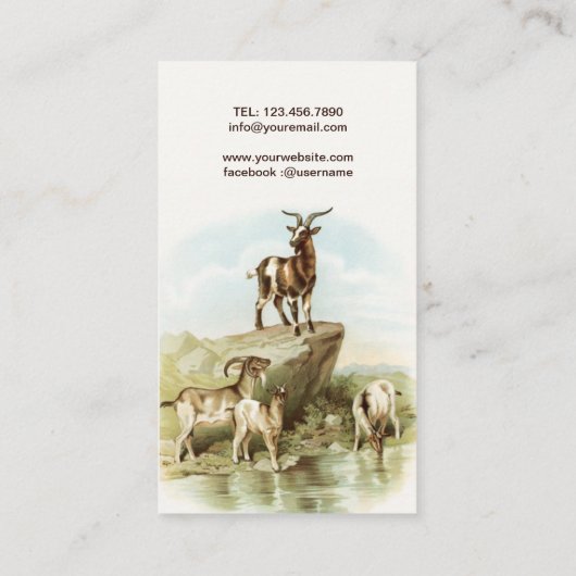 Dierlijke geiten kunst visitekaartje (Achterkant)
