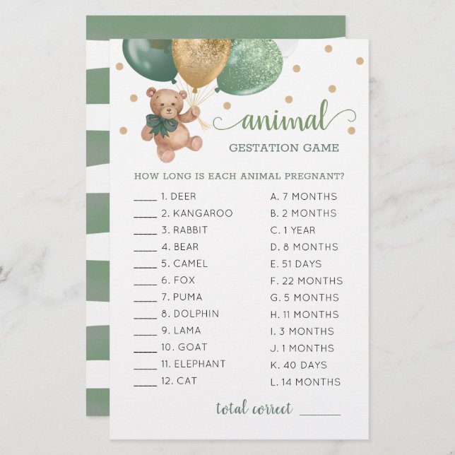 Dierlijke gomsage Groene Teddy Bear (Voorkant / Achterkant)