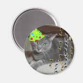 Dierlijke grijze katten magneet (Voorkant / Achterkant)