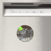 Dierlijke grijze katten magneet (Insitu (Vaatwasser))