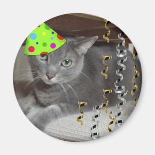 Dierlijke grijze katten magneet