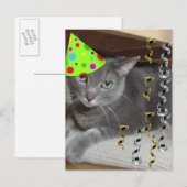 Dierlijke grijze katten uitnodiging briefkaart (Voorkant / Achterkant)