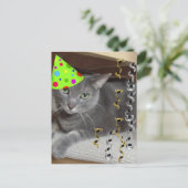 Dierlijke grijze katten uitnodiging briefkaart (Staand voorkant)