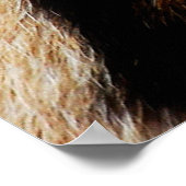 Dierlijke huidtextuur natureanimal, huid, patroon, poster (Hoek)