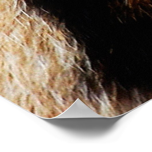 Dierlijke huidtextuur natureanimal, huid, patroon, poster (Hoek)