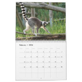 Dierlijke Huisdieren Wildlife Love Destiny's Kalender (Feb 2026)