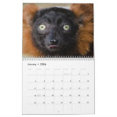 Dierlijke Huisdieren Wildlife Love Destiny's Kalender (Jan 2026)