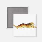 Dierlijke kat zoogdier magneet (Voorkant / Achterkant)