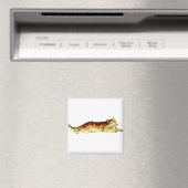 Dierlijke kat zoogdier magneet (Insitu (Vaatwasser))