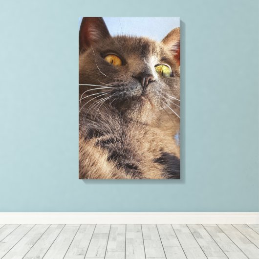 Dierlijke kunst canvas afdruk (Insitu (Houten vloer))