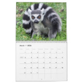 Dierlijke Lemur Cute Natuur Zoo Custom Destiny Kalender (Mar 2026)