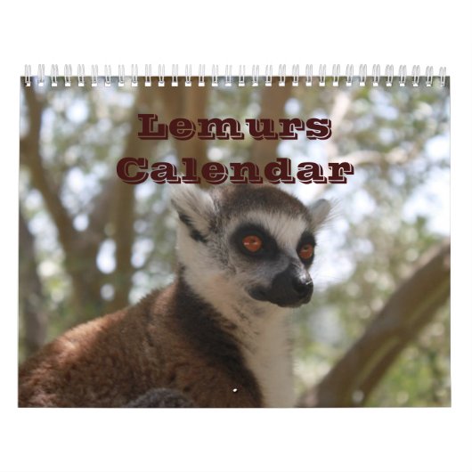 Dierlijke Lemur Cute Natuur Zoo Custom Destiny Kalender (Hoes)