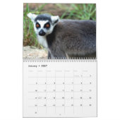 Dierlijke Lemur Cute Natuur Zoo Custom Destiny Kalender (Jan 2027)