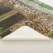 Dierlijke Luipaard Kat (50"X 60") Sherpa Deken (3/4)