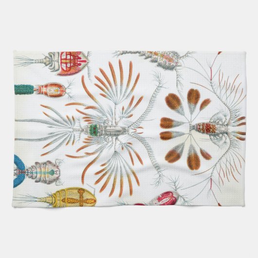 Dierlijke Oceaan Dieren, Copepoda door Ernst Haeck Theedoek (Horizontaal)