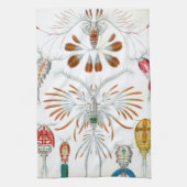 Dierlijke Oceaan Dieren, Copepoda door Ernst Haeck Theedoek (Verticaal)