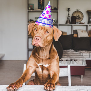 Dierlijke poot silhouet blauw roze Pawty papier Feesthoedjes