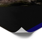 Dierlijke posters (Hoek)