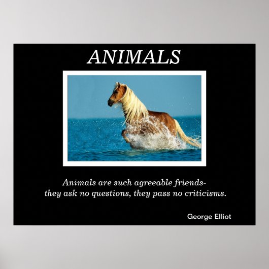 Dierlijke Posters 31 (Voorkant)