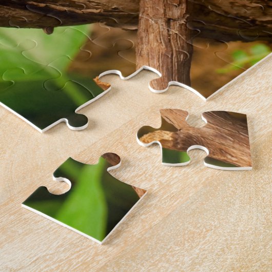 Dierlijke puzzels Eén dierlijk puzzels hagedis (Zijkant)