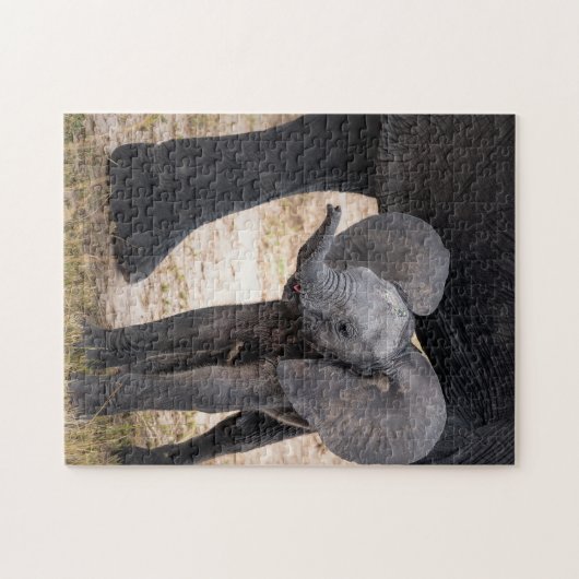 Dierlijke puzzels Elephant Pho (Horizontaal)