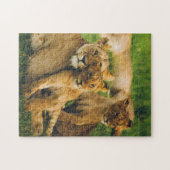 Dierlijke puzzels Moeder en Babykatoen Foto (Horizontaal)