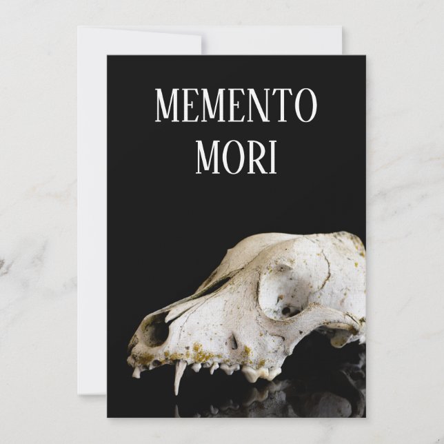 Dierlijke schedel (Voorkant)