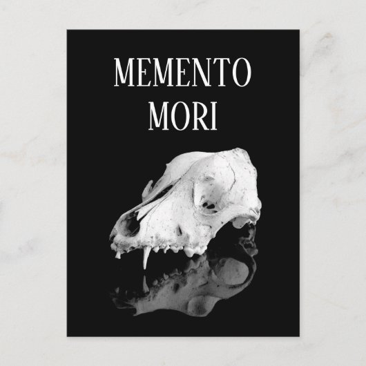 Dierlijke schedel briefkaart (Voorkant)