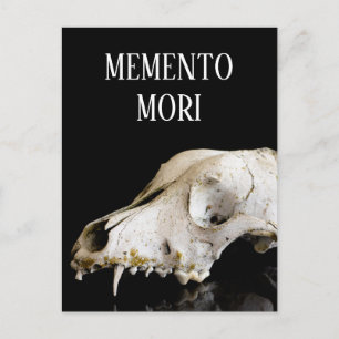 Dierlijke schedel briefkaart