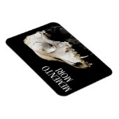 Dierlijke schedel magneet (Rechterzijde)