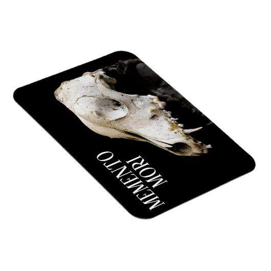 Dierlijke schedel magneet (Rechterzijde)