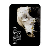 Dierlijke schedel magneet (Verticaal)