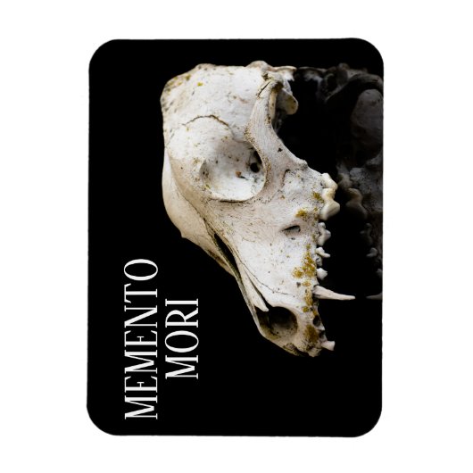 Dierlijke schedel magneet (Verticaal)