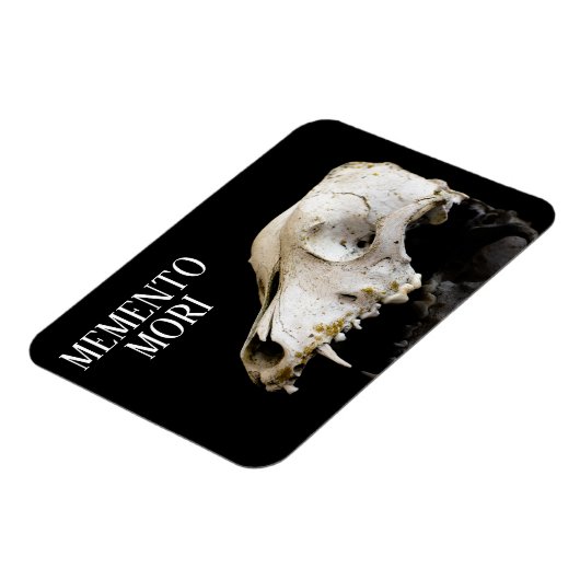 Dierlijke schedel magneet (Linkerzijde)