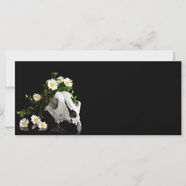 Dierlijke schedel met een maag van wilde bloem (Voorkant)