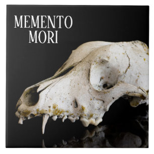 Dierlijke schedel tegeltje