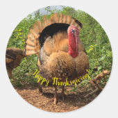 Dierlijke Thanksgiving Turkije Ronde Sticker (Voorkant)