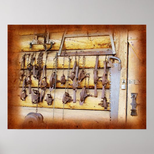 Dierlijke vallen in Alaska Poster (Voorkant)