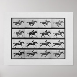 Dierlijke voortbeweging - 16 Lijsten van Racehorse Poster