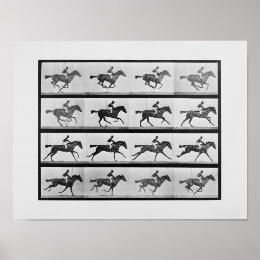 Dierlijke voortbeweging - 16 Lijsten van Racehorse Poster (Voorkant)