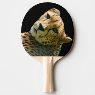 Dierlijke wilde de dierentuinfoto van het tafeltennisbatje