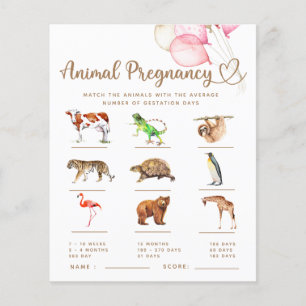 Dierlijke Zwangerschap Baby Baby shower
