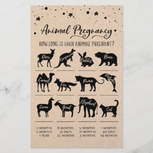 Dierlijke Zwangerschap met Answers Baby shower Gam