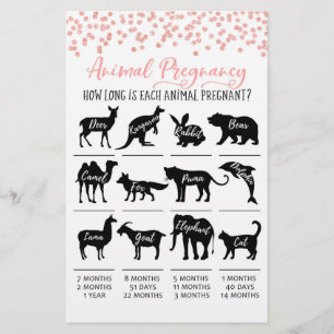 Dierlijke Zwangerschap met Answers Baby shower Gam
